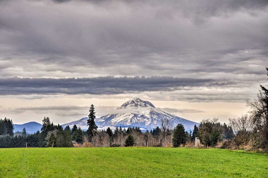 Secluded Pdx Area Townhome ½ Way To Mt. Hood!